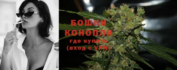 прущие крисы Новодвинск
