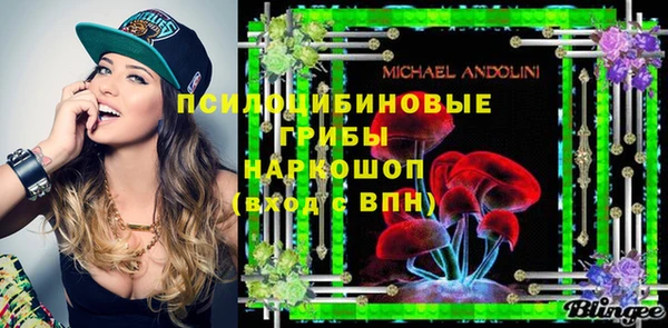 ПСИЛОЦИБИНОВЫЕ ГРИБЫ Баксан