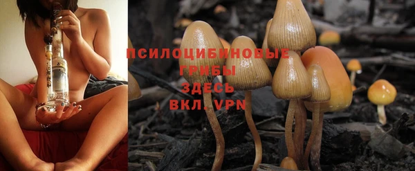 ПСИЛОЦИБИНОВЫЕ ГРИБЫ Баксан
