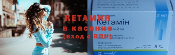 стаф Новозыбков