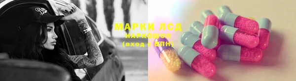 ПСИЛОЦИБИНОВЫЕ ГРИБЫ Баксан