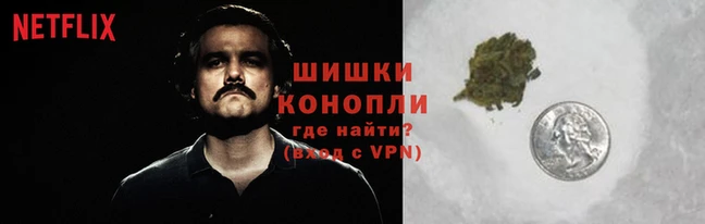 ПСИЛОЦИБИНОВЫЕ ГРИБЫ Баксан