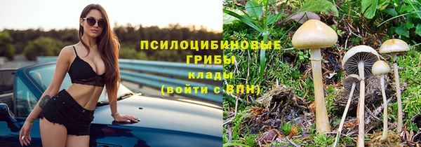 прущие крисы Новодвинск