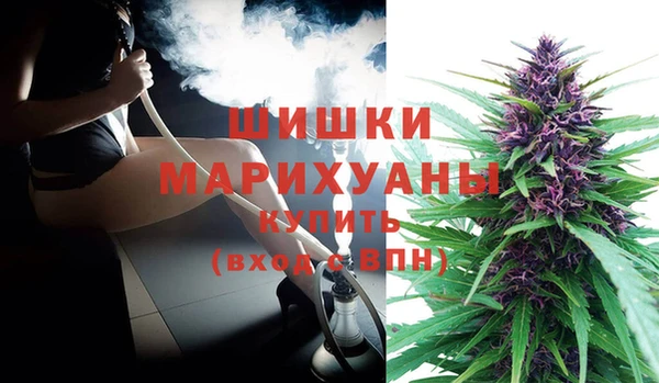 ПСИЛОЦИБИНОВЫЕ ГРИБЫ Баксан
