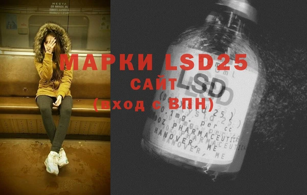 стаф Новозыбков